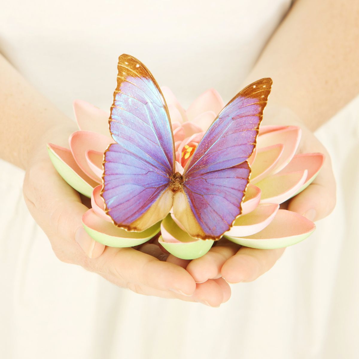 Kostenfreier Info-Abend für den Meditationszyklus Lüneburg. Moderne Meditation in der Gruppe erleben, gemeinsam meditieren in Lüneburg, zur Ruhe kommen und innere Stille erfahren