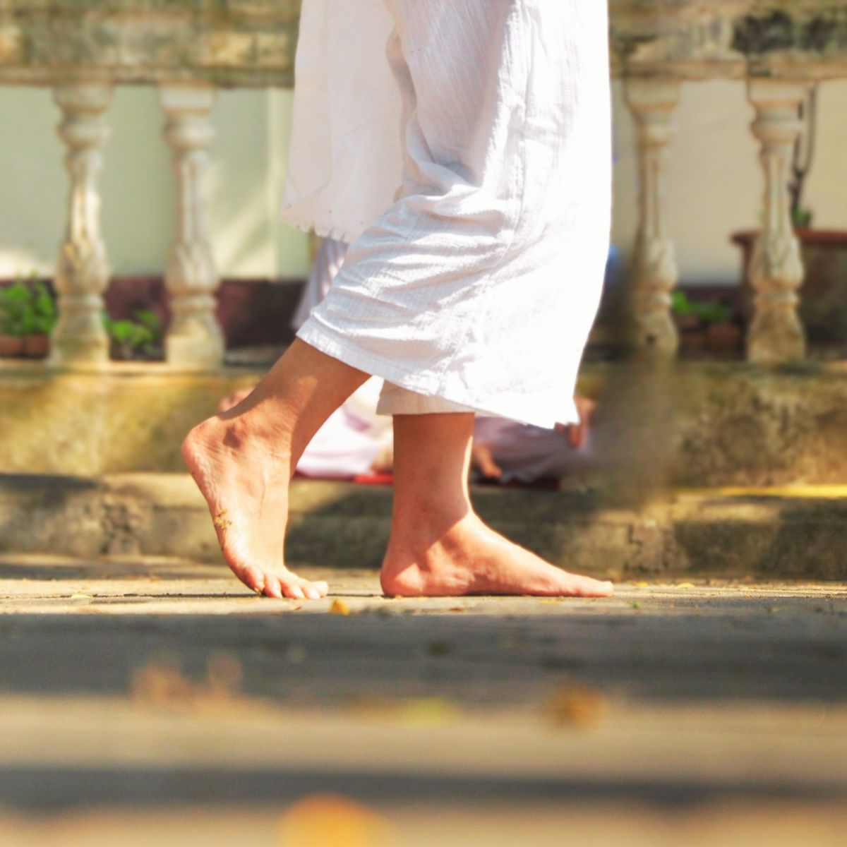 Vipassana Meditation, Achtsamkeitsmeditation und Gehmeditation, auch für Anfänger, im Meditationszyklus Lüneburg